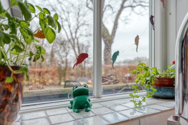 Foto 23 van Dwarsweg 4