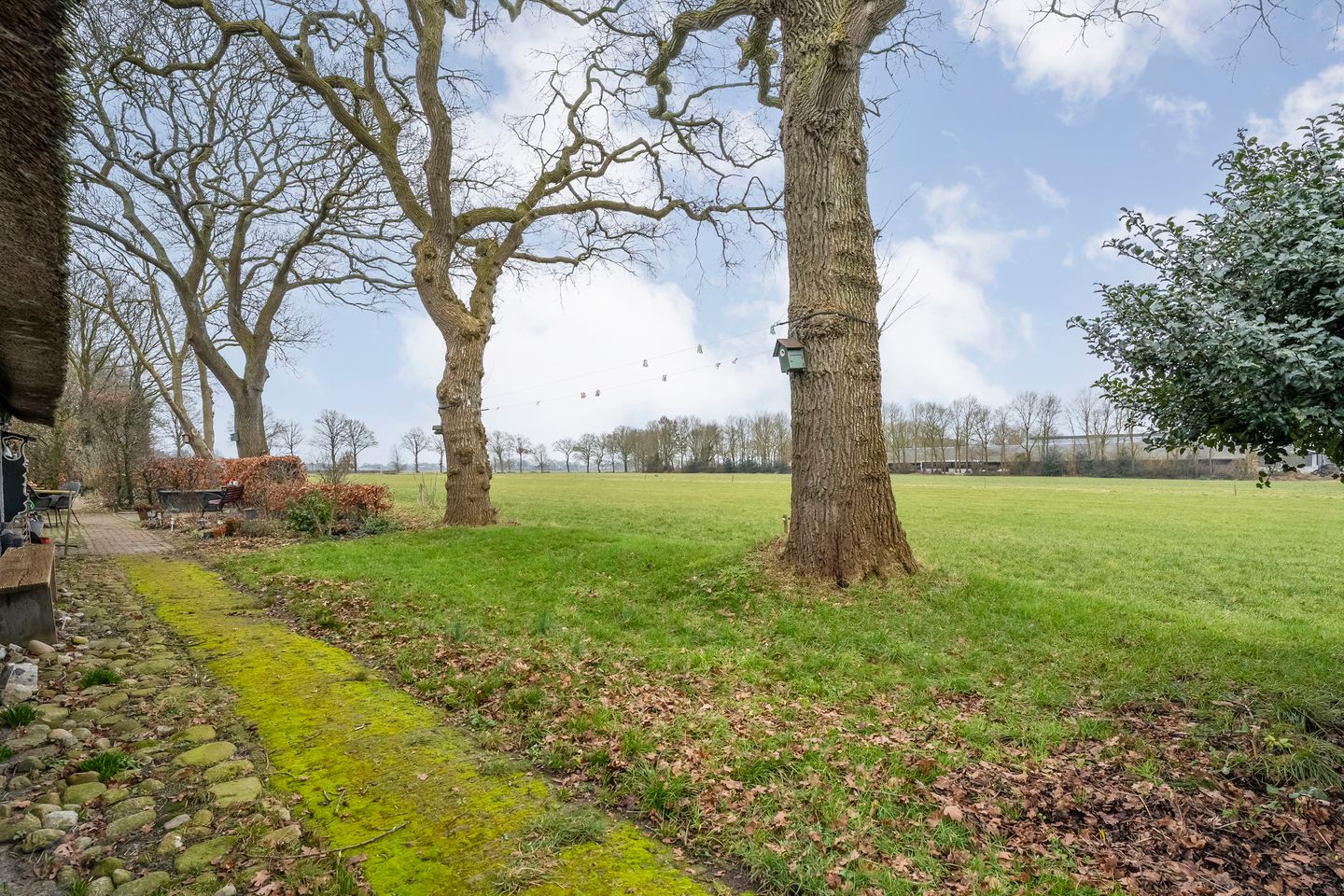 Photo 49 of Dwarsweg 4