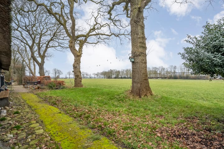 Foto 49 van Dwarsweg 4