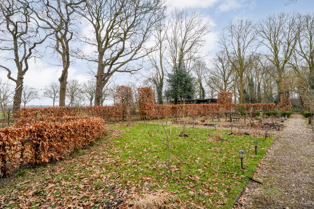 Photo 61 of Dwarsweg 4