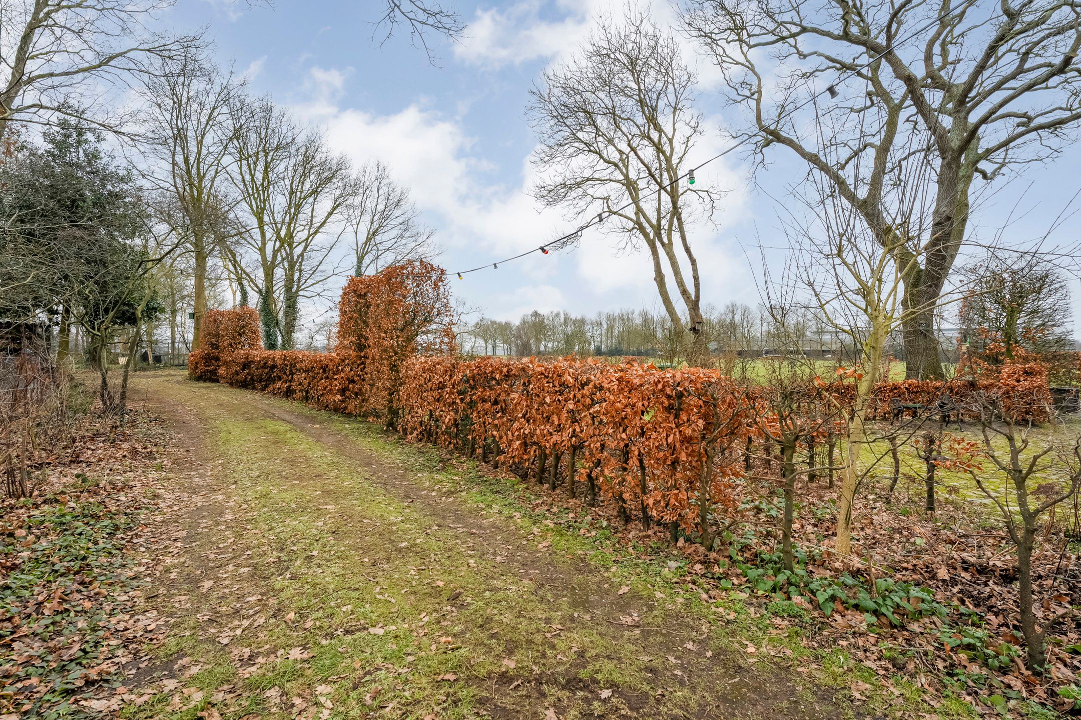 Photo 63 of Dwarsweg 4