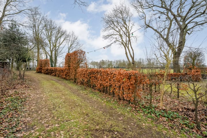 Foto 63 van Dwarsweg 4