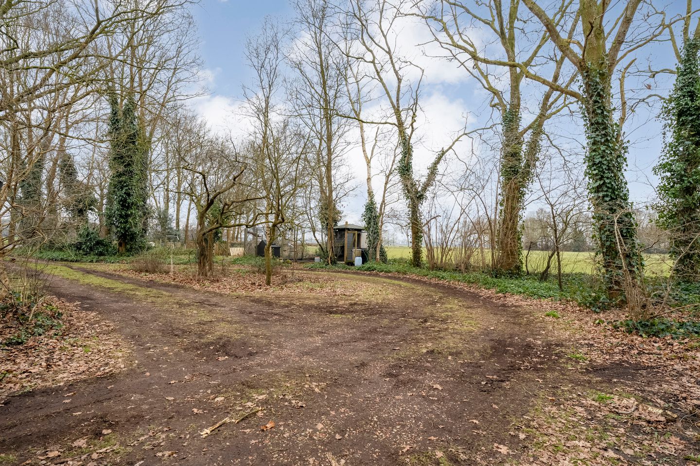 Photo 64 of Dwarsweg 4