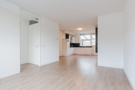 Regenboogven thumbnail