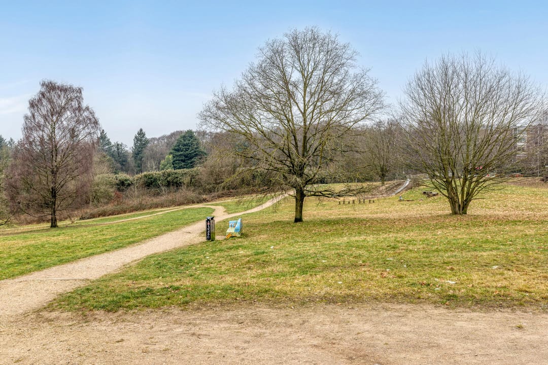 Photo 38 of Roerdomplaan 1