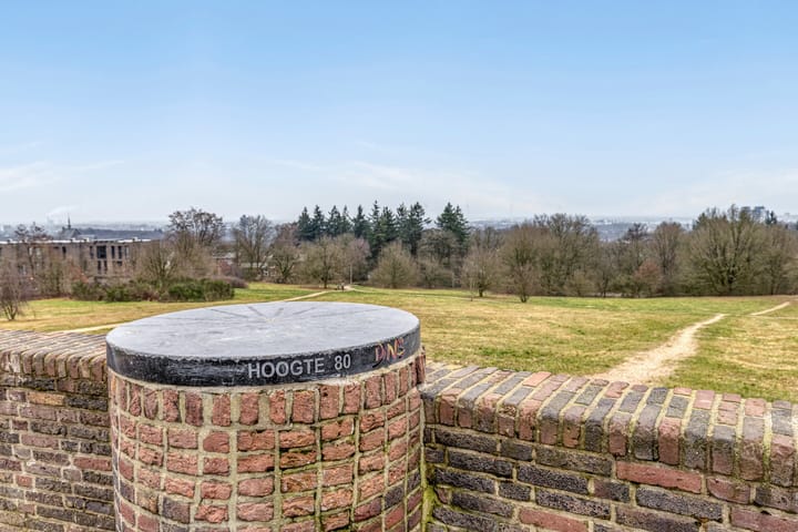 Foto 39 van Roerdomplaan 1