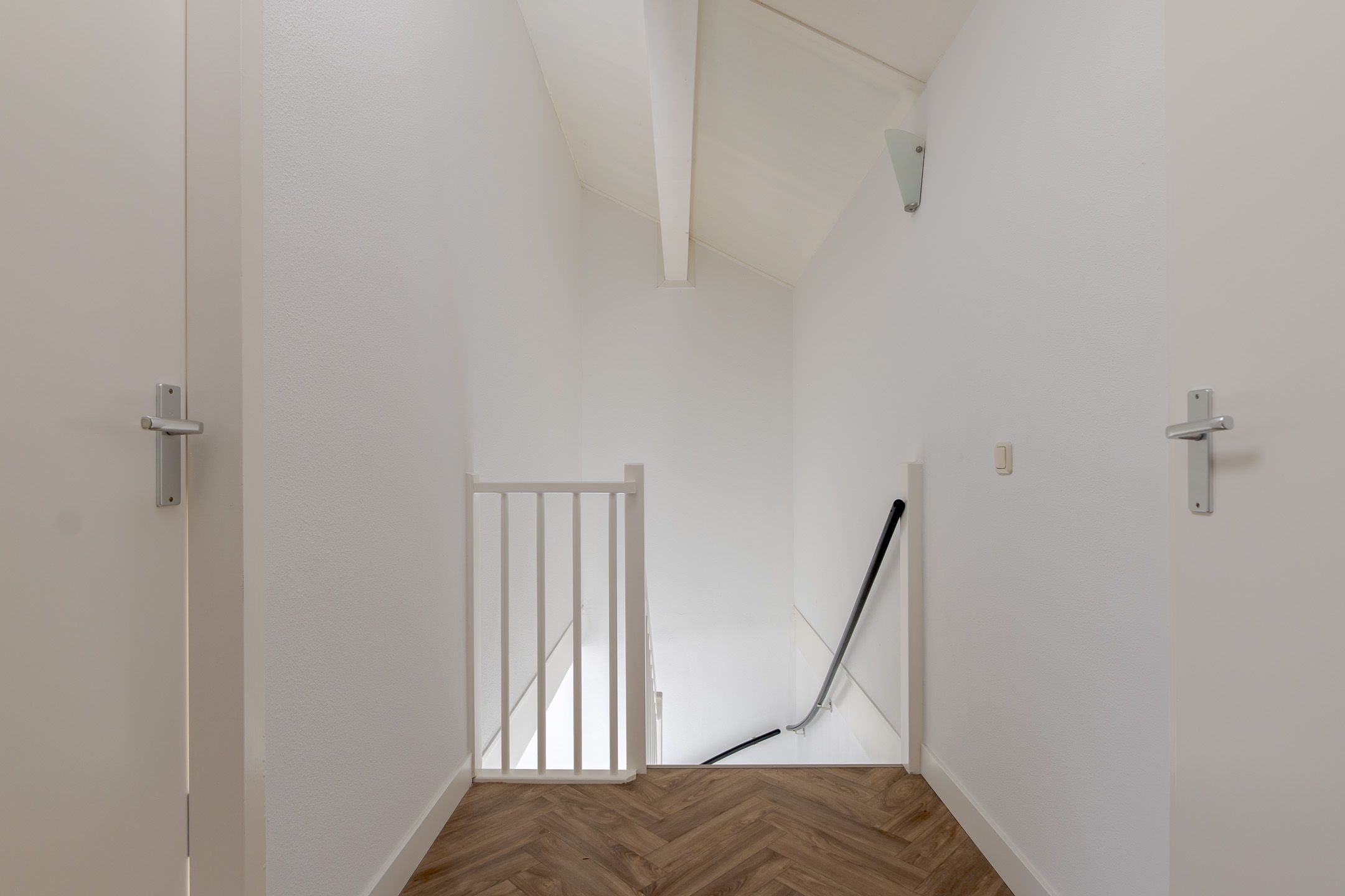 Foto 42 van Pastinaak 1