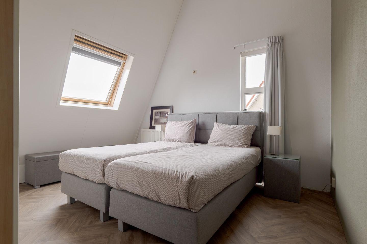 Foto 44 van Pastinaak 1