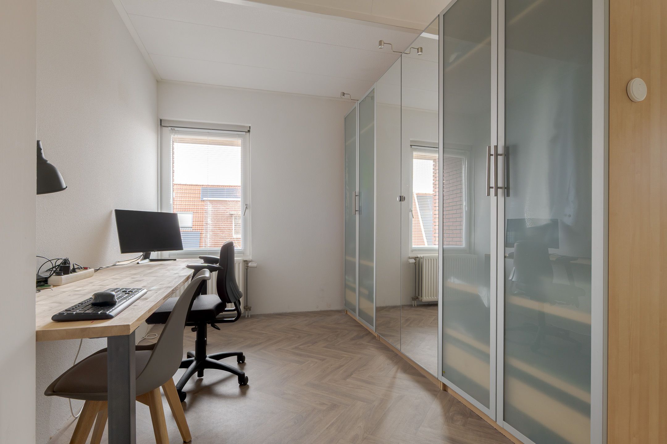 Foto 48 van Pastinaak 1