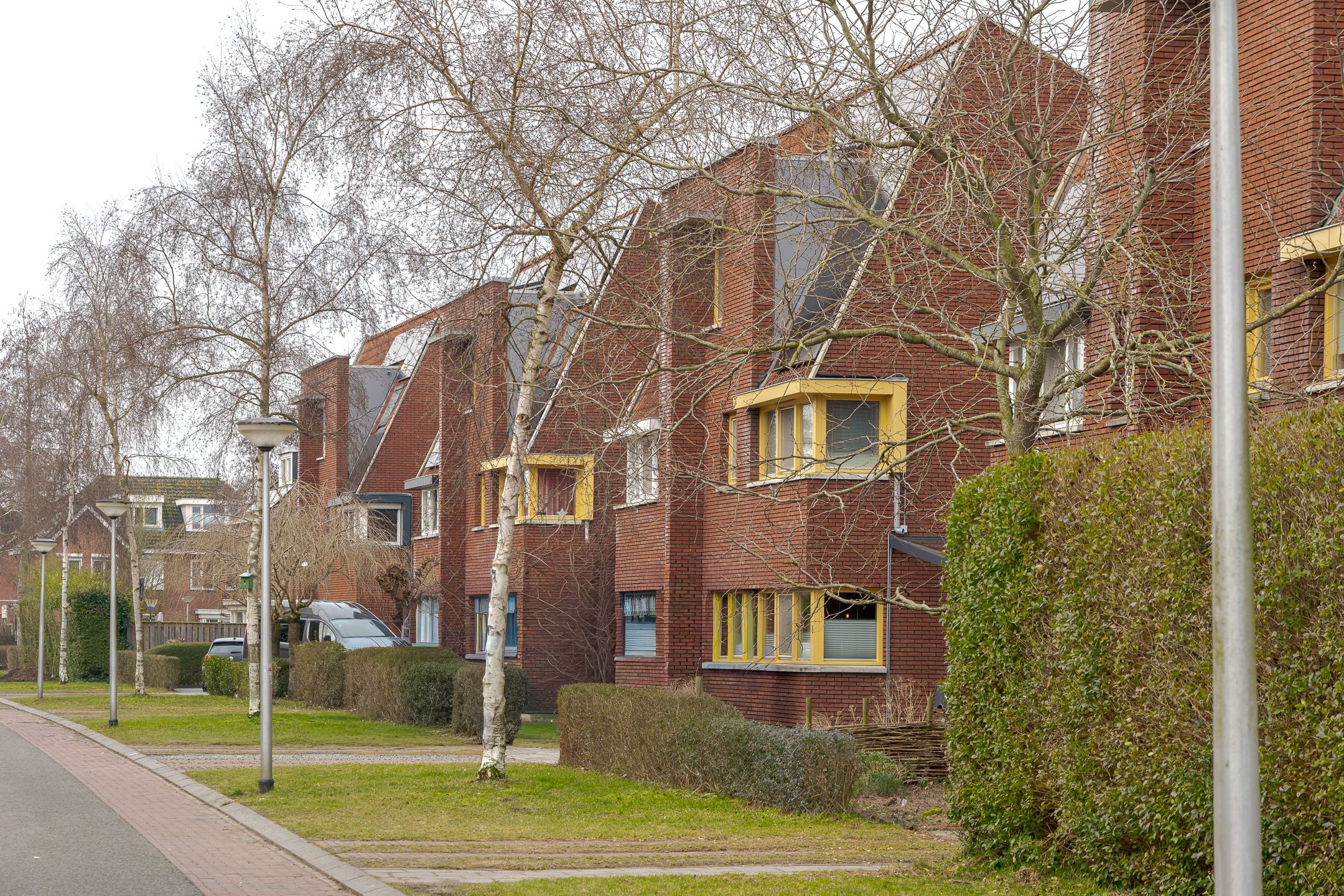 Foto 57 van Pastinaak 1