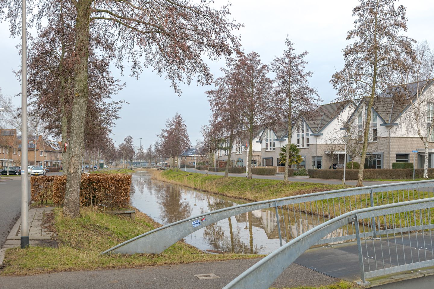 Foto 59 van Pastinaak 1