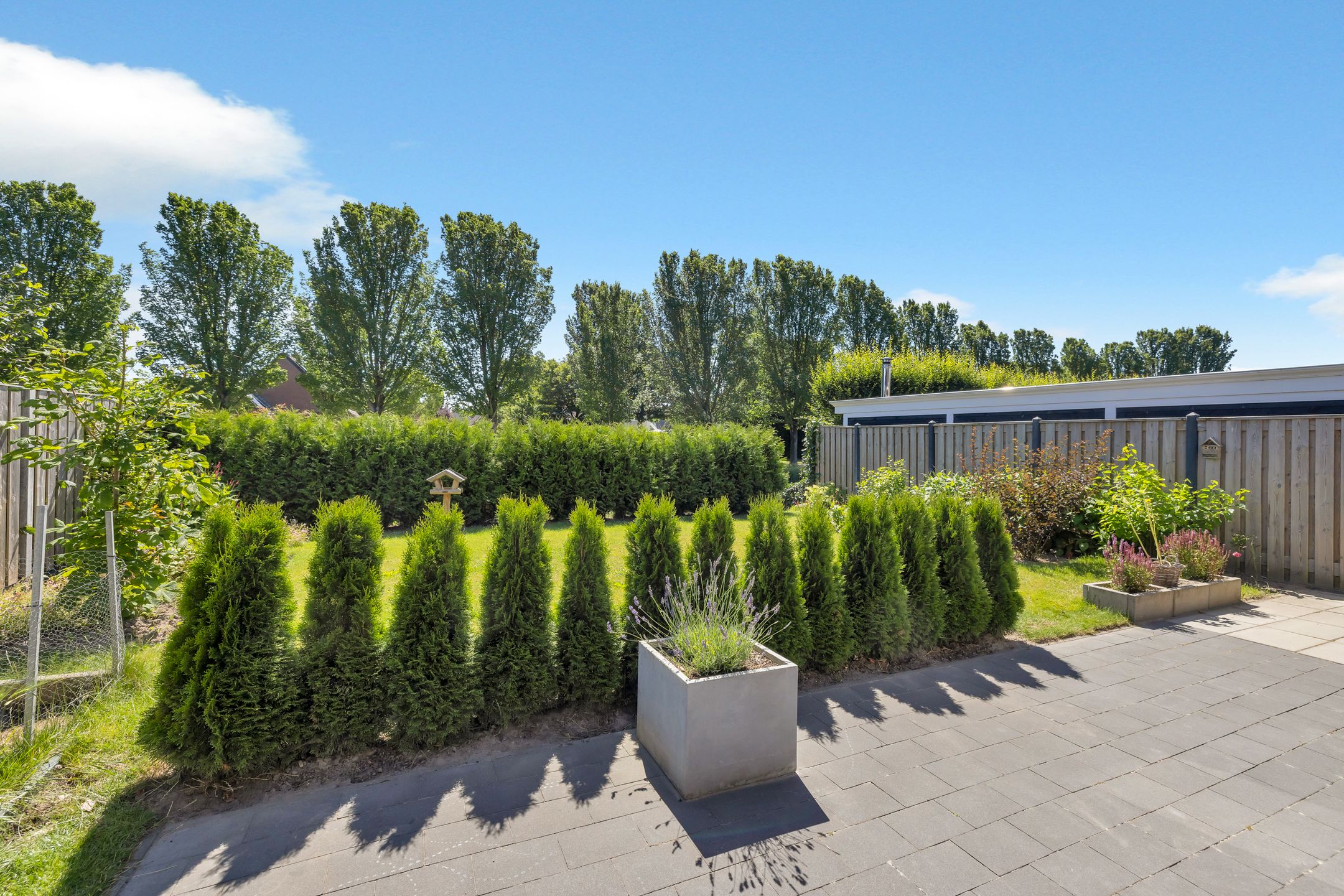 Foto 30 van Draadzegge 33