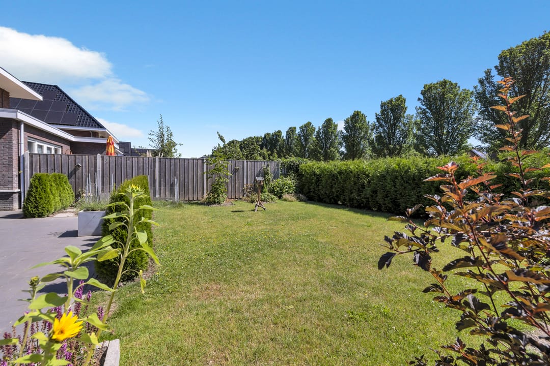 Foto 31 van Draadzegge 33