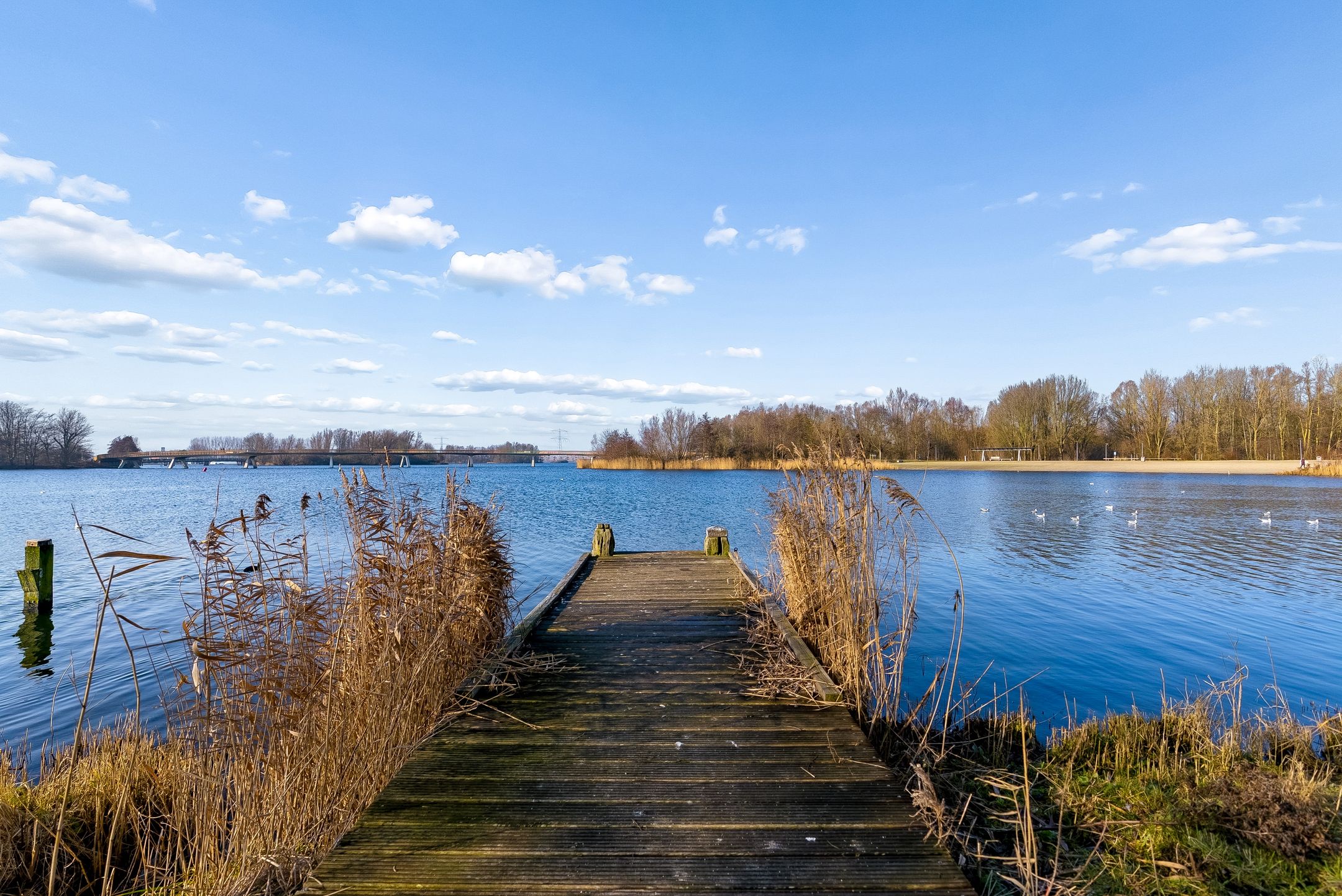 Photo 57 of Jacques Tatilaan 143