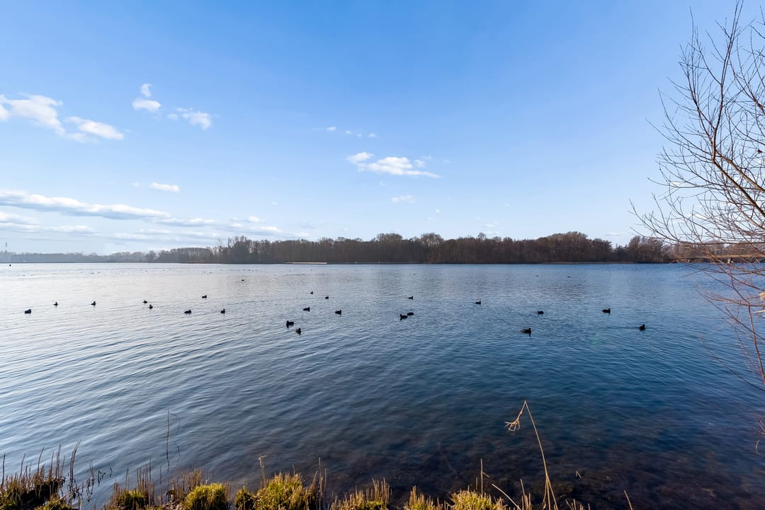 Photo 58 of Jacques Tatilaan 143