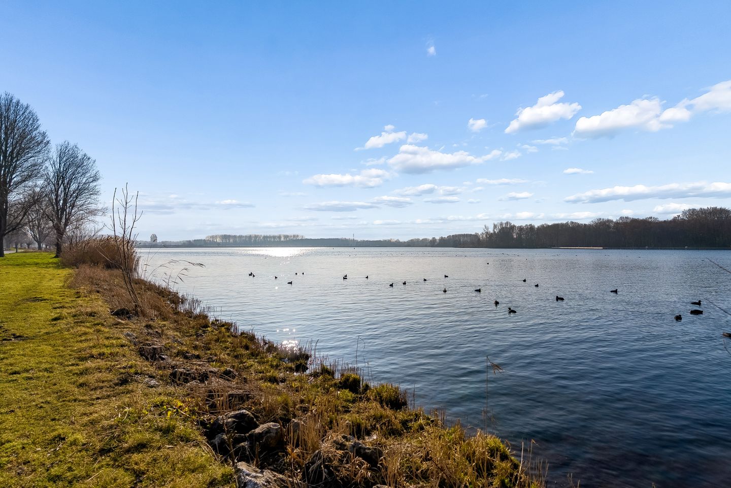 Photo 59 of Jacques Tatilaan 143