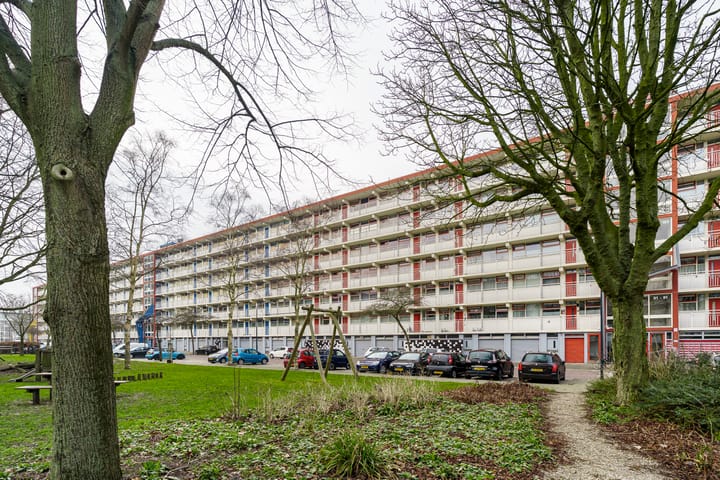 Jacques Urlusplantsoen 303