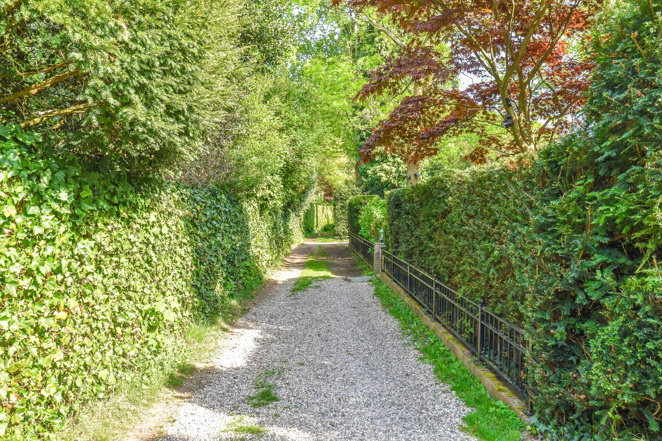 Foto 45 van Koloniepad 18