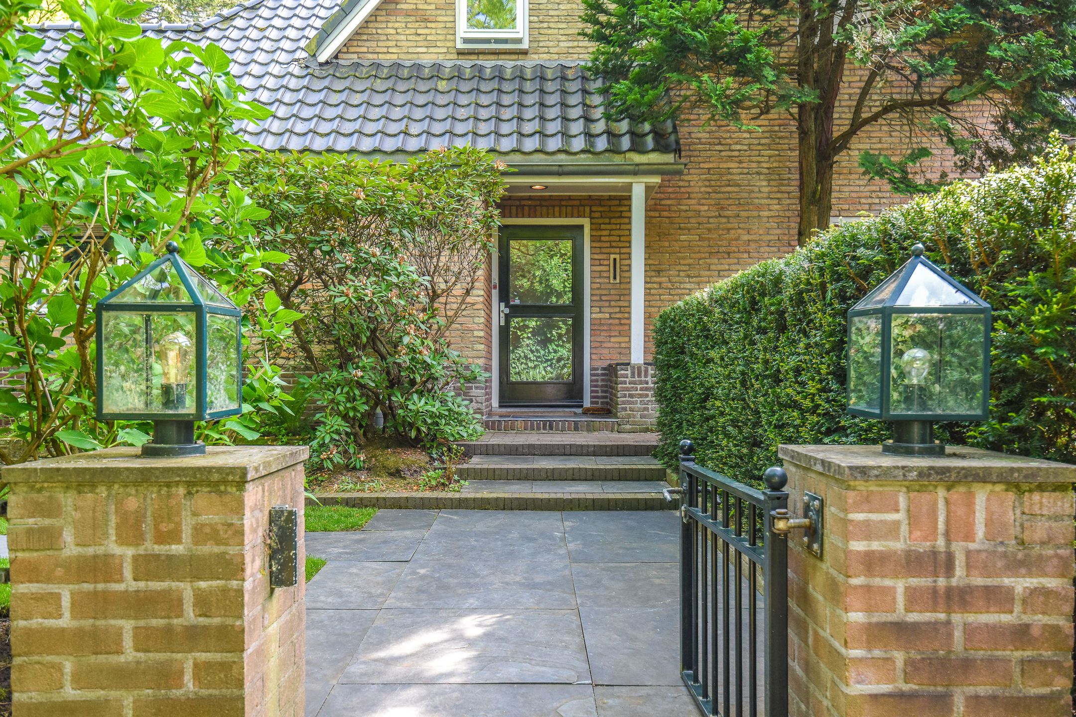 Foto 48 van Koloniepad 18