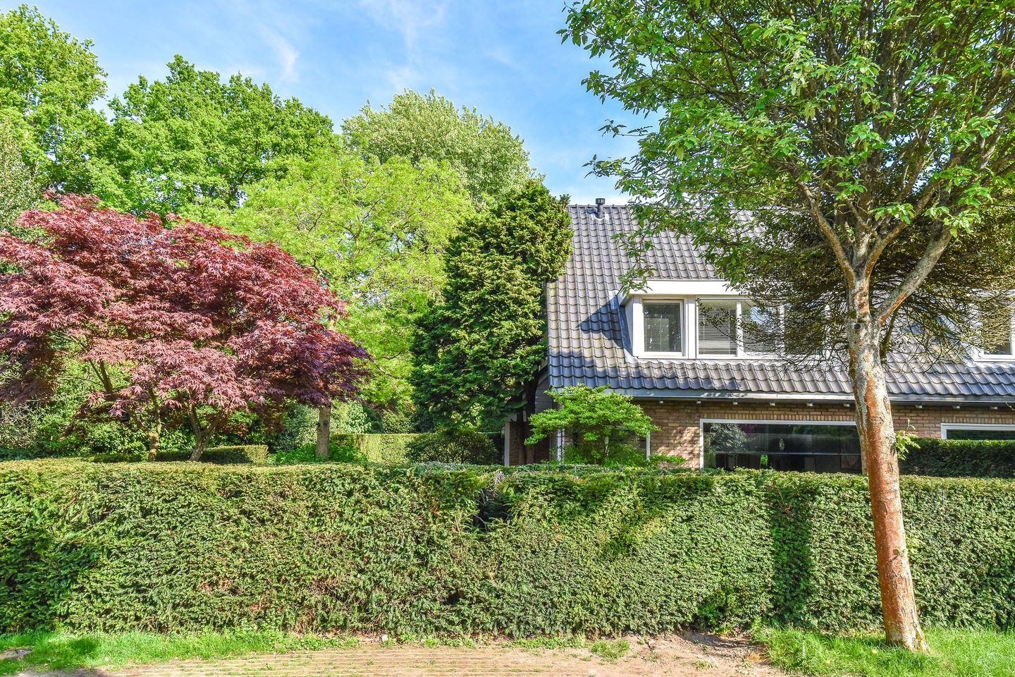 Foto 49 van Koloniepad 18