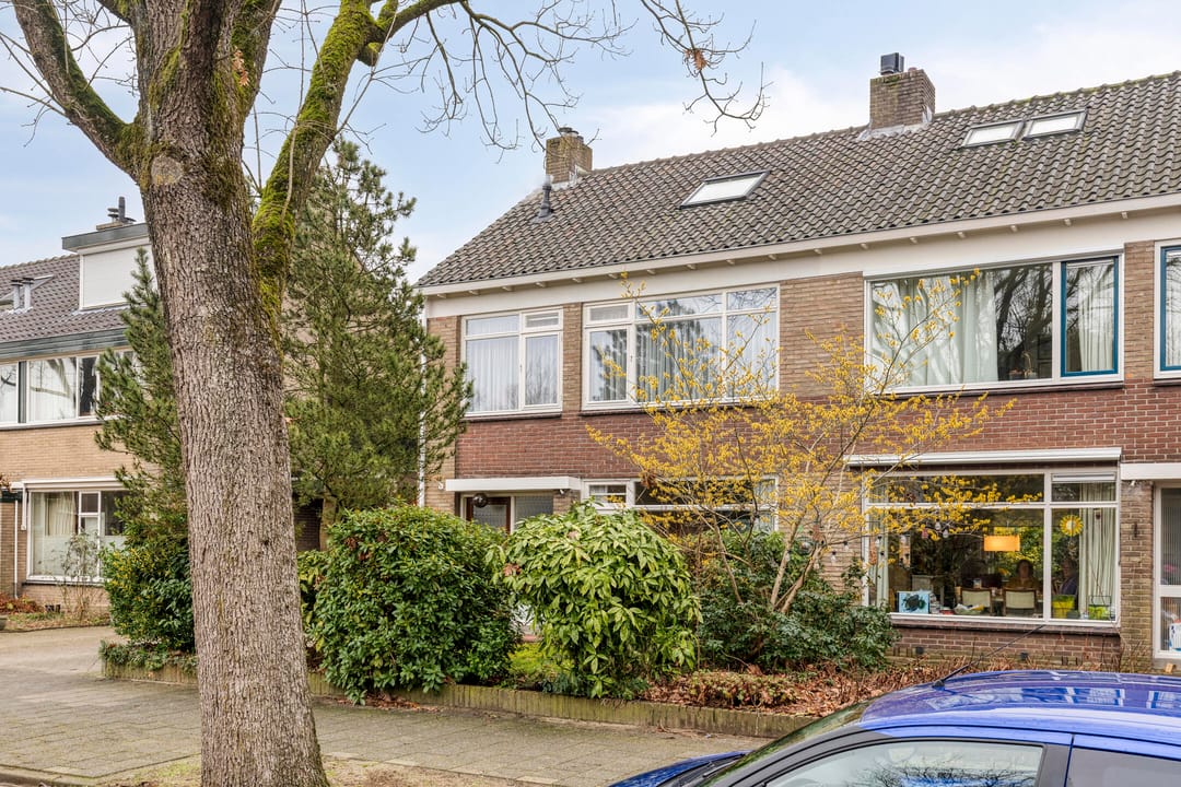 Foto 43 van Okapistraat 79