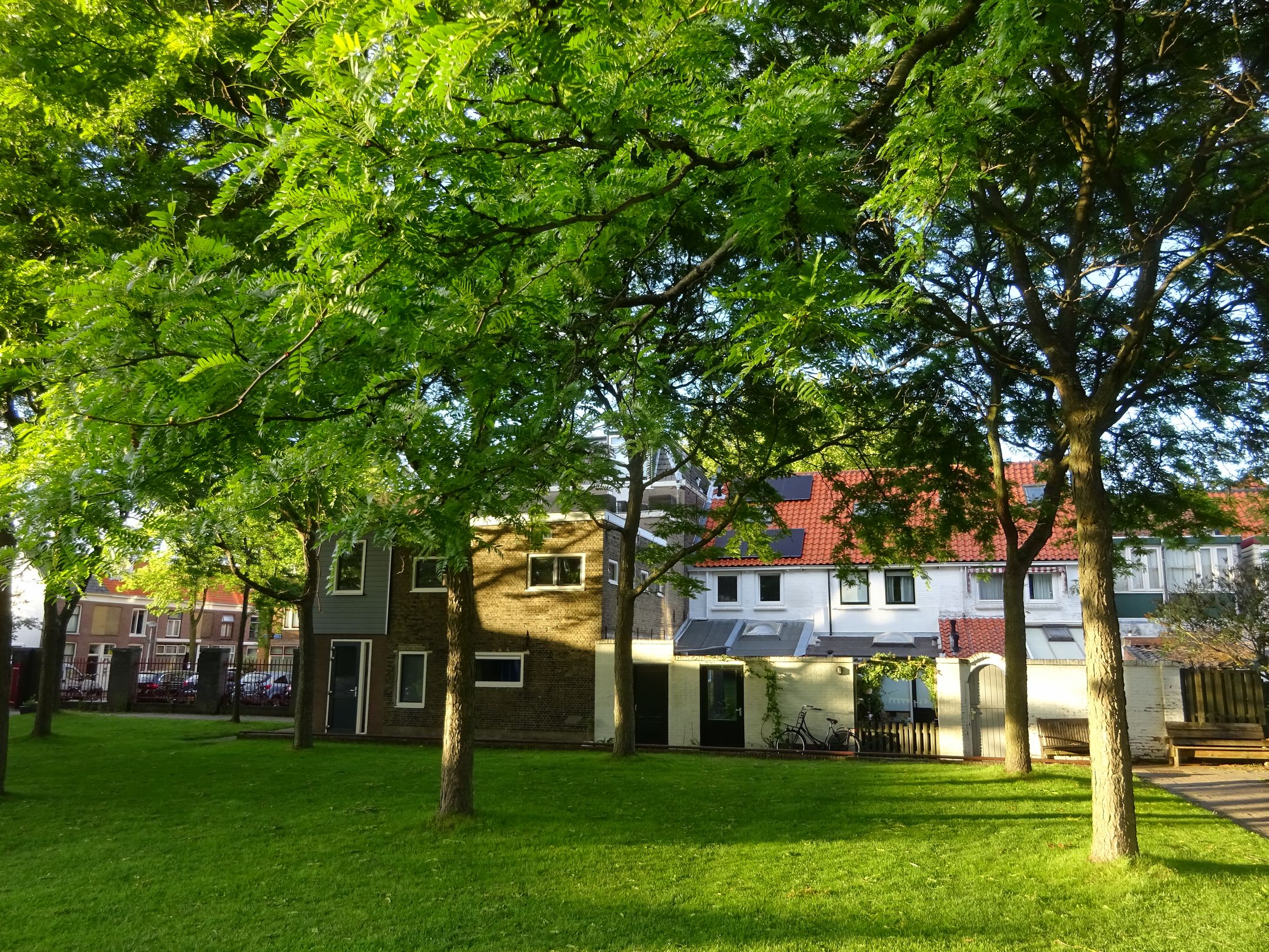 Foto 51 van Sint Olofsstraat 13