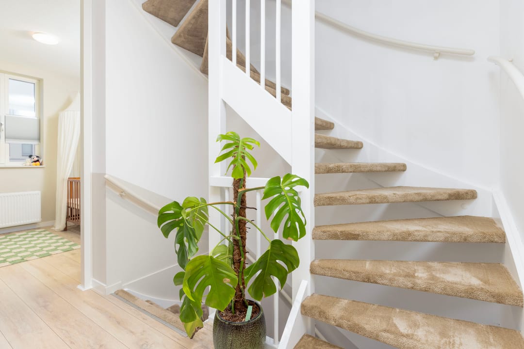 Foto 16 van Conerij 22