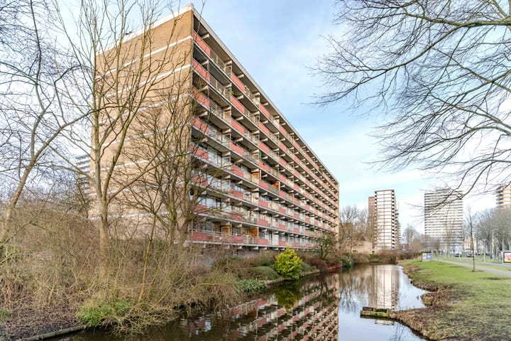 Roland Holstlaan 907