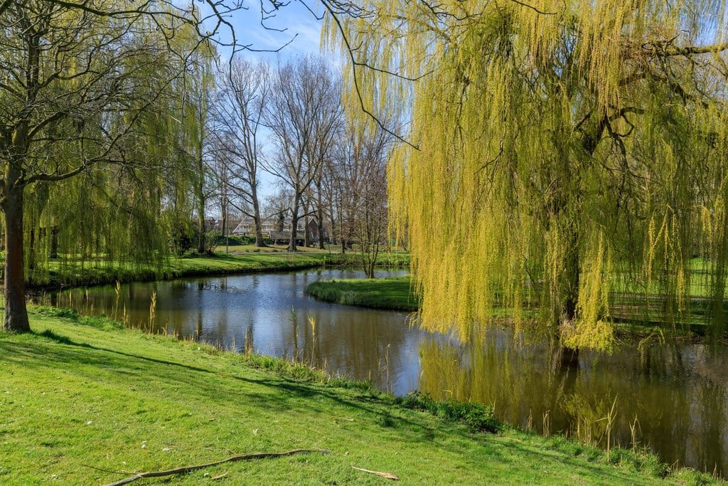 Foto 35 van Constantijn Huygenslaan 25