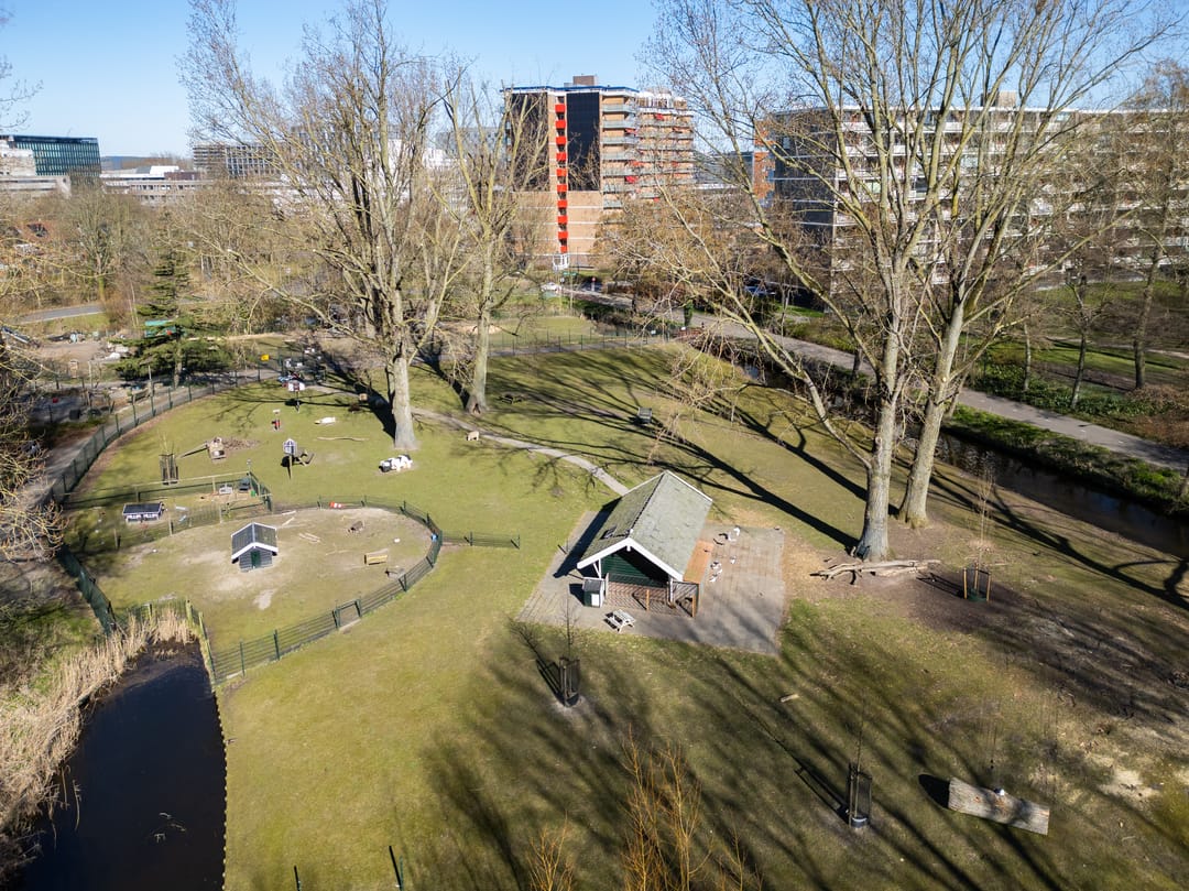 Foto 37 van Constantijn Huygenslaan 25