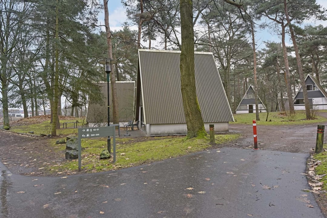 Photo 22 of Patrijslaan 4-51