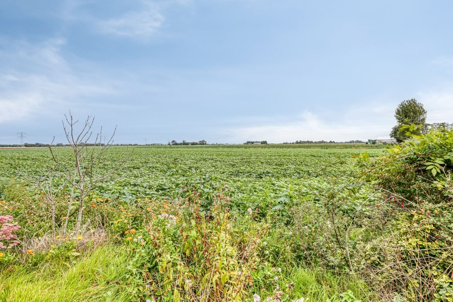 Foto 40 van Moerstraatseweg 74