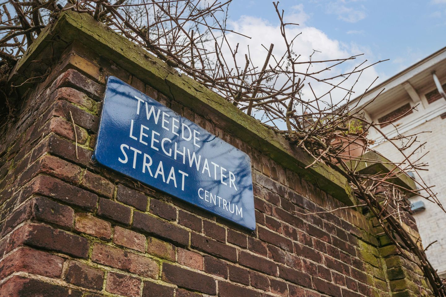 Foto 25 van Tweede Leeghwaterstraat 3-3