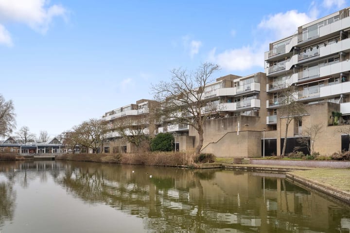 Henry Moorepassage 50