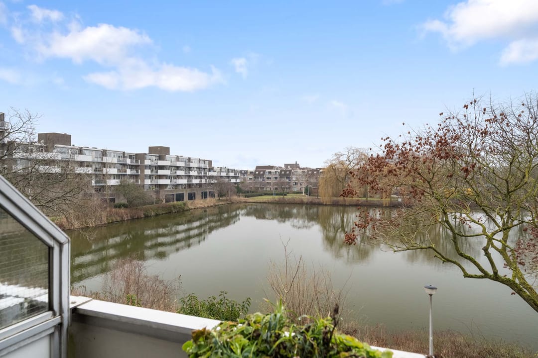 Foto 11 van Henry Moorepassage 50