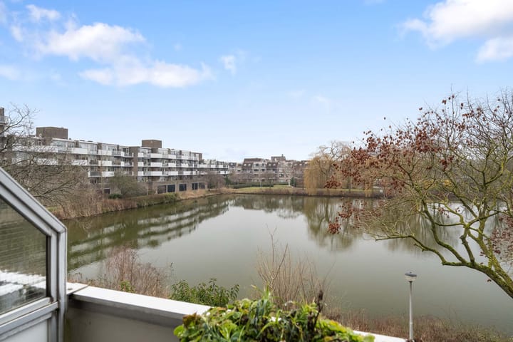 Foto 11 van Henry Moorepassage 50