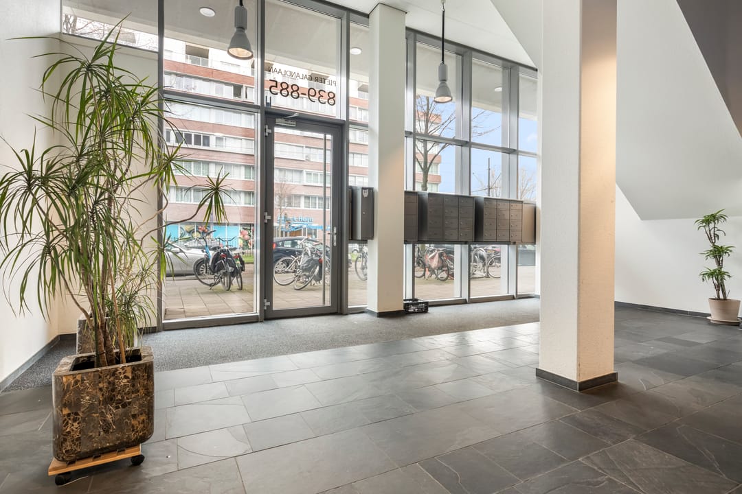 Foto 22 van Pieter Calandlaan 875