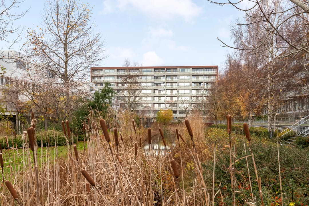 Foto 26 van Pieter Calandlaan 875