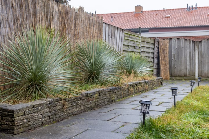 Foto 27 van Duindoornstraat 62