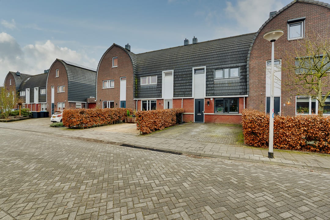 Foto 1 van Bosroos 4