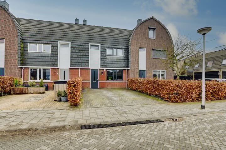 Foto 2 van Bosroos 4