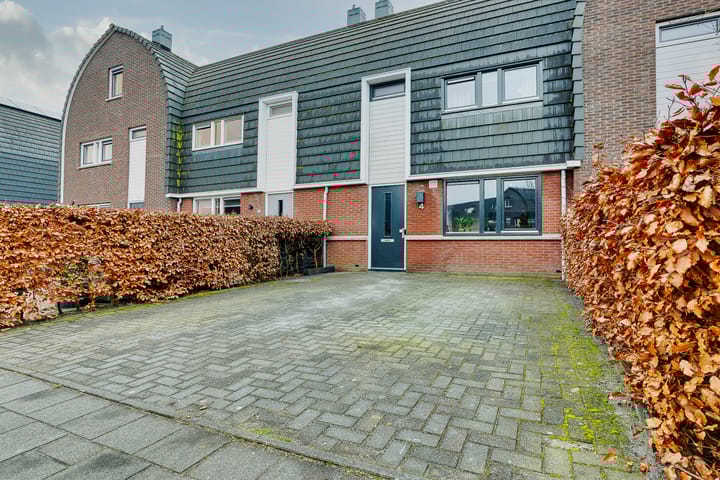 Foto 32 van Bosroos 4