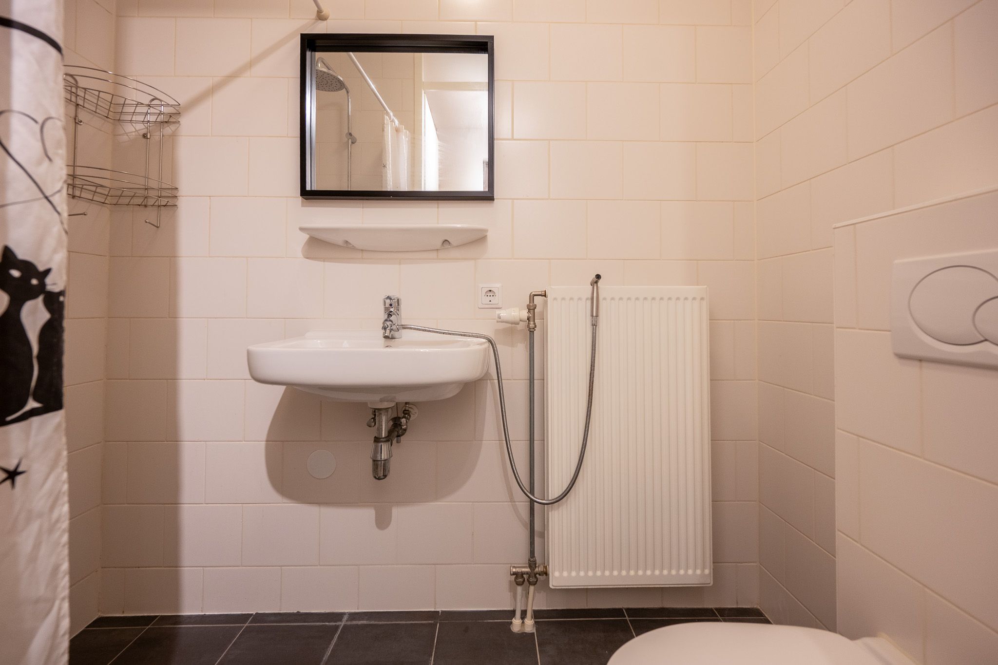 Foto 12 van Teakhout 3