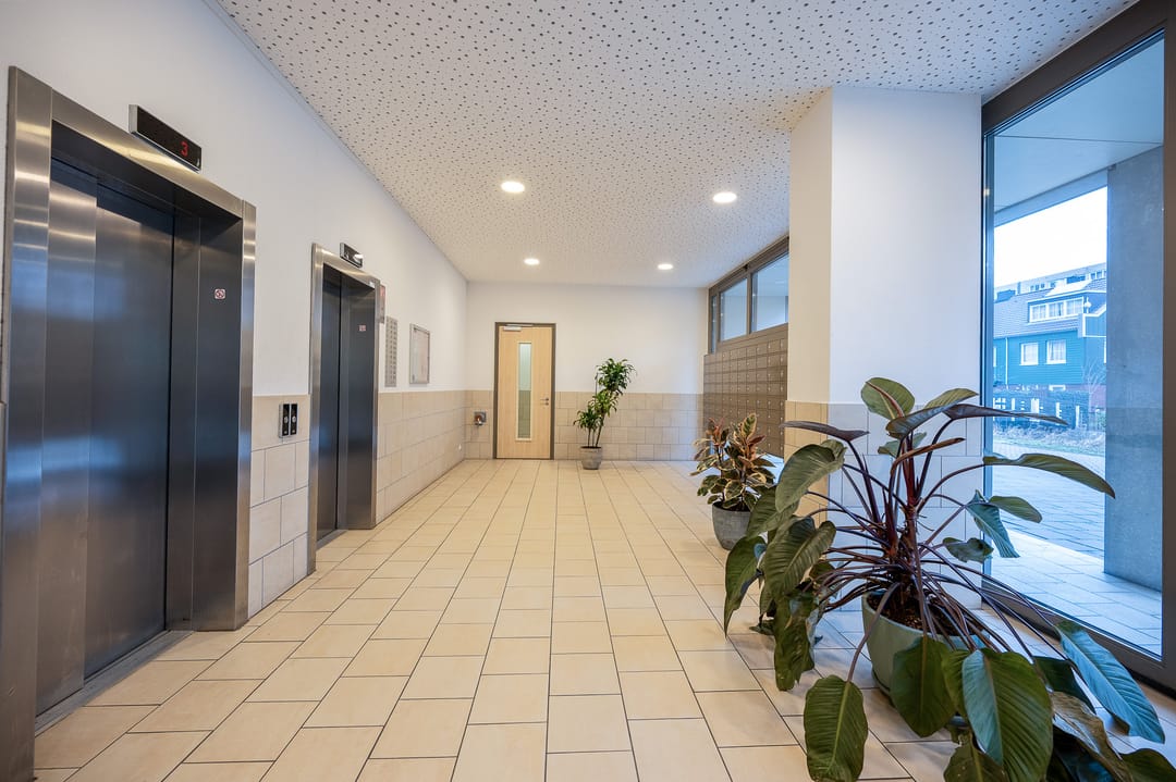 Foto 17 van Teakhout 3