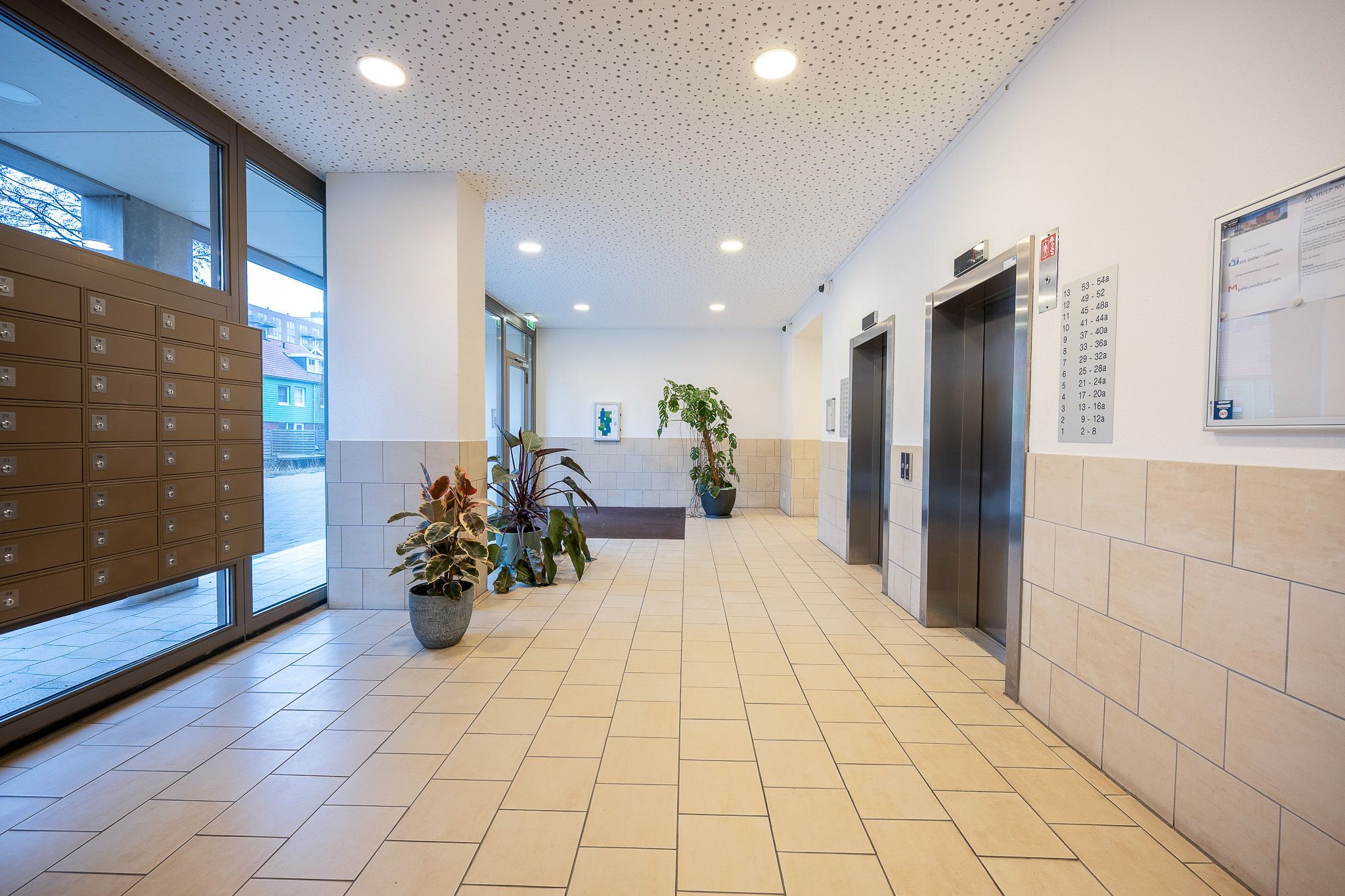 Foto 18 van Teakhout 3