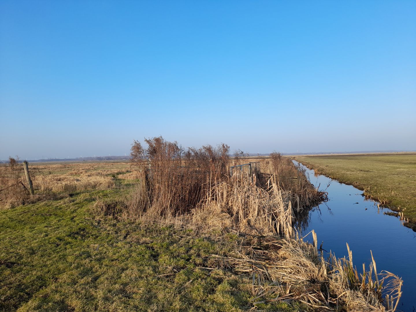 Bekijk foto 3 van Bunschoterweg