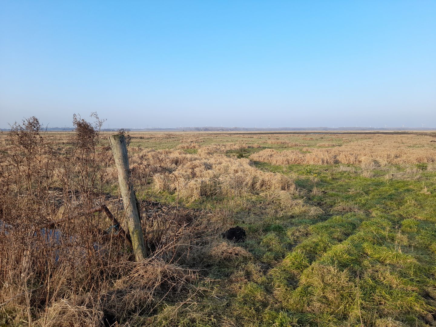 Bekijk foto 4 van Bunschoterweg
