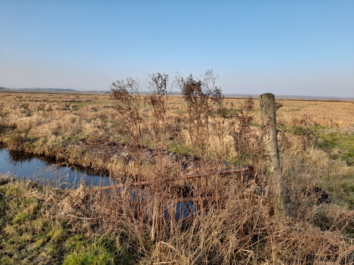 Bekijk foto 5 van Bunschoterweg