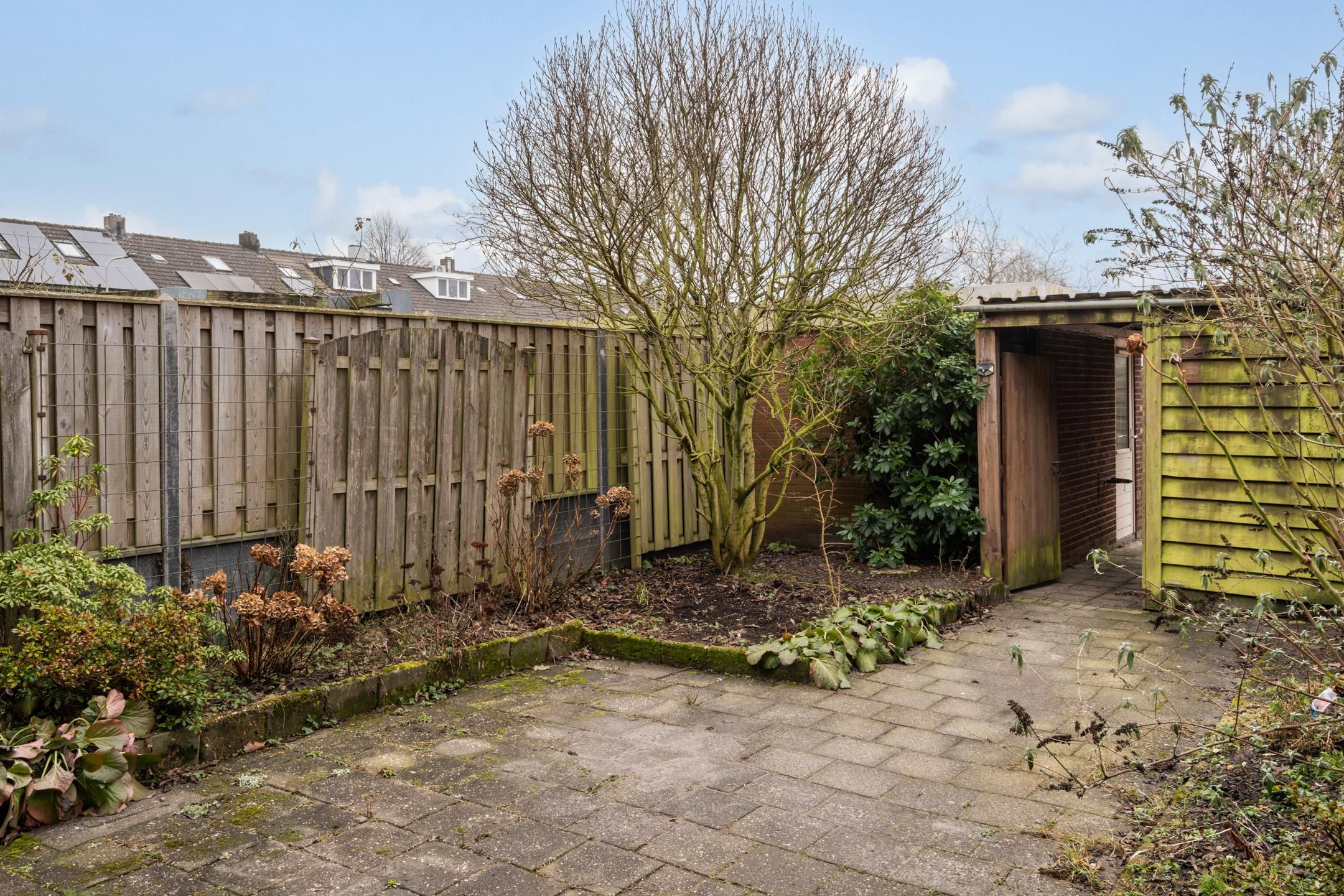 Foto 12 van Canopus 6