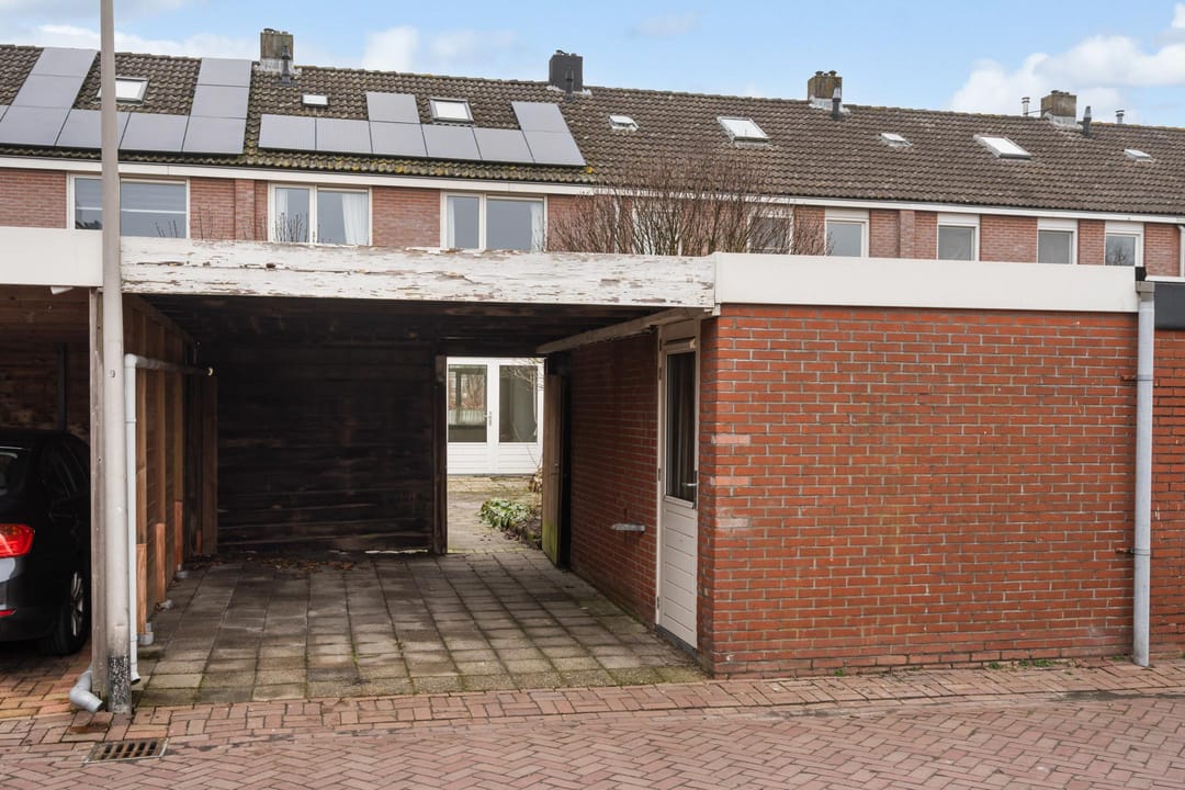 Foto 23 van Canopus 6